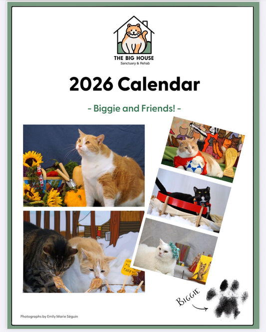 The Big House 2026 Charity Calendar (DIGITAL DOWNLOAD)