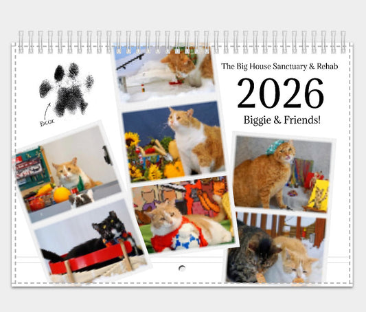 The Big House 2026 Charity Calendar (PHYSICAL CALENDAR)